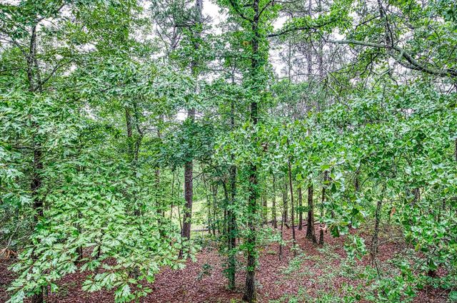 13 Veranillo Drive, Hot Springs Village, AR 71909
