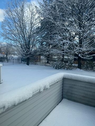 35 Whitney Street 33, Lowell, MA 01850