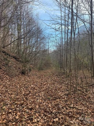 3066 Hartley Kincaid Place, Lenoir, NC 28645