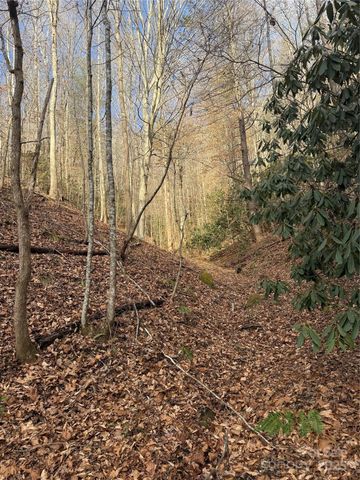 3066 Hartley Kincaid Place, Lenoir, NC 28645