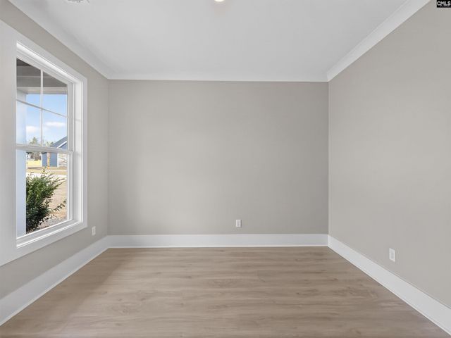 28 Elk Run Court, Chapin, SC 29036