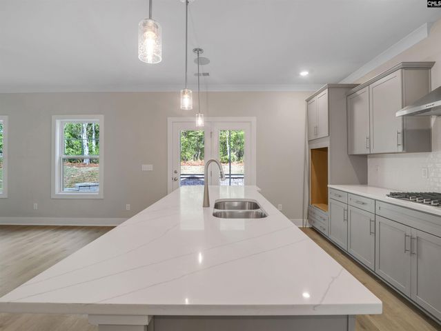 28 Elk Run Court, Chapin, SC 29036