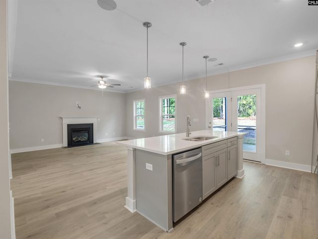 28 Elk Run Court, Chapin, SC 29036