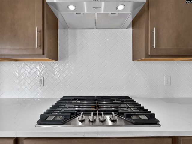 28 Elk Run Court, Chapin, SC 29036