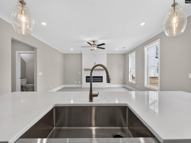 28 Elk Run Court, Chapin, SC 29036