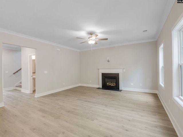 28 Elk Run Court, Chapin, SC 29036