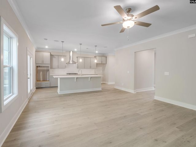 28 Elk Run Court, Chapin, SC 29036