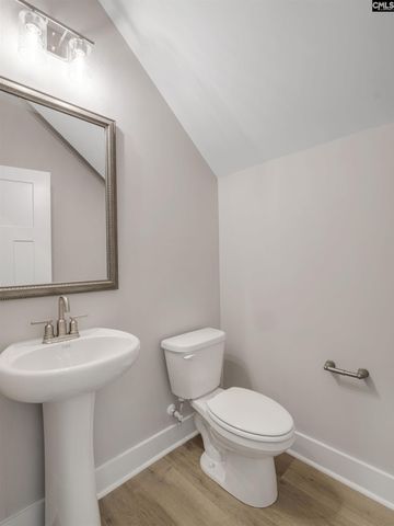 28 Elk Run Court, Chapin, SC 29036