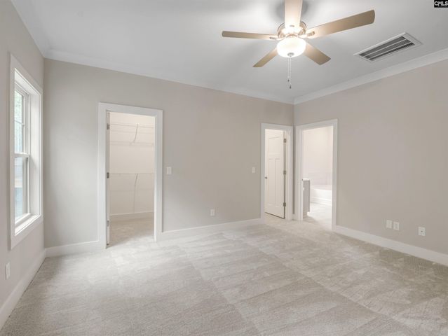 28 Elk Run Court, Chapin, SC 29036