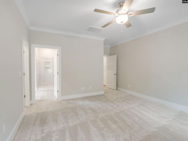 28 Elk Run Court, Chapin, SC 29036