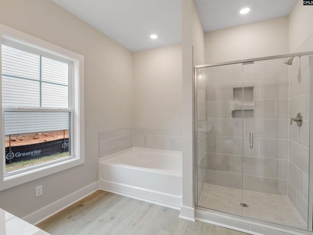 28 Elk Run Court, Chapin, SC 29036