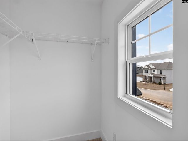 28 Elk Run Court, Chapin, SC 29036