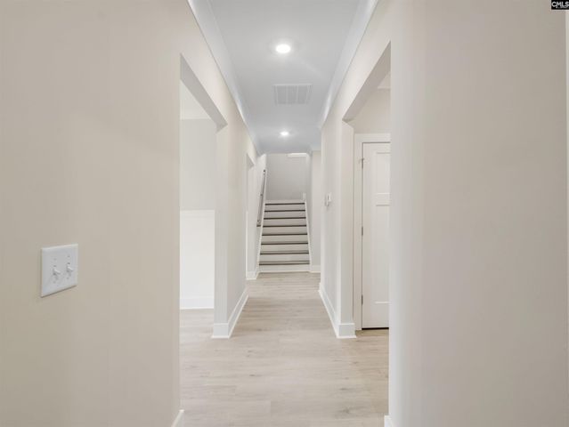 28 Elk Run Court, Chapin, SC 29036