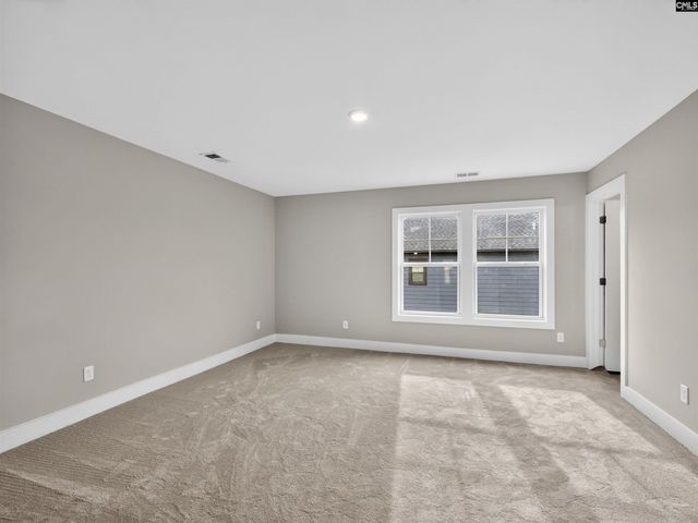 28 Elk Run Court, Chapin, SC 29036