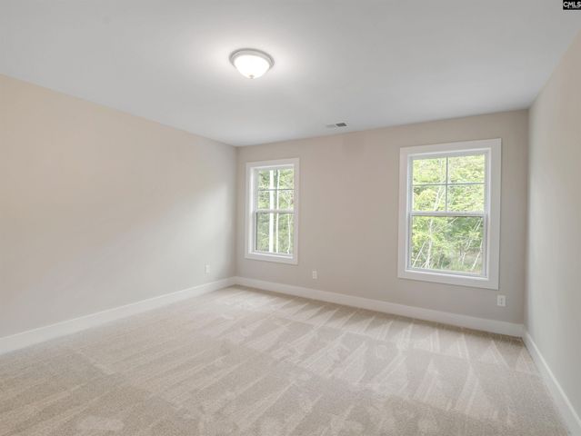 28 Elk Run Court, Chapin, SC 29036