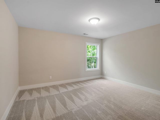 28 Elk Run Court, Chapin, SC 29036