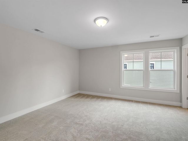 28 Elk Run Court, Chapin, SC 29036