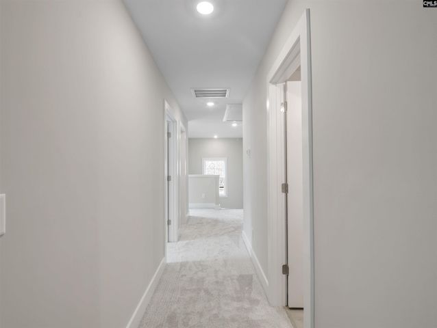 28 Elk Run Court, Chapin, SC 29036