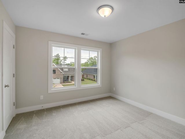 28 Elk Run Court, Chapin, SC 29036