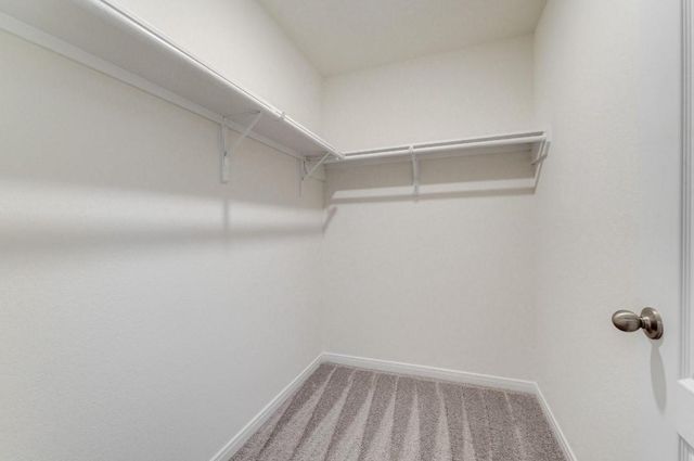 534 Broken Boulder Street, Magnolia, TX 77354