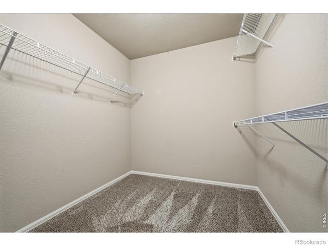 1516 Morning Glow Drive, Windsor, CO 80550