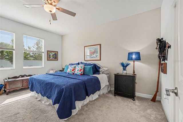 10892 IBIS BROOK COURT, Land O Lakes, FL 34638