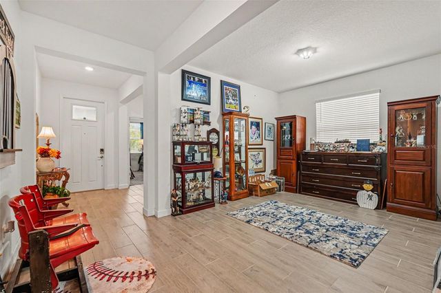 10892 IBIS BROOK COURT, Land O Lakes, FL 34638