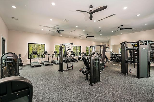 10892 IBIS BROOK COURT, Land O Lakes, FL 34638
