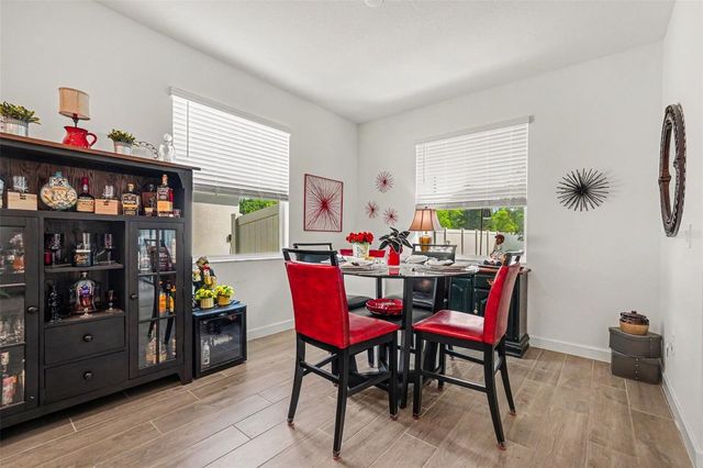 10892 IBIS BROOK COURT, Land O Lakes, FL 34638