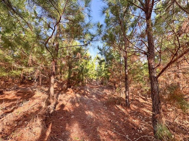 T-5 County Road 4245, De Kalb, TX 75559