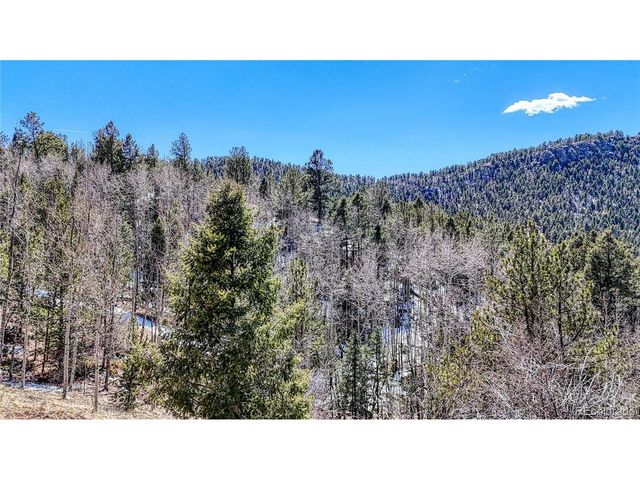 513 Last Dollar Dr, Cripple Creek, CO 80813