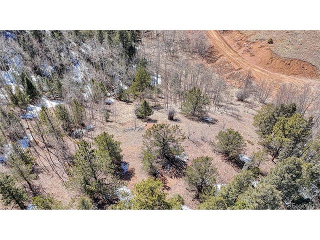 513 Last Dollar Dr, Cripple Creek, CO 80813