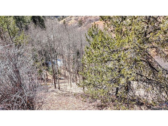 513 Last Dollar Dr, Cripple Creek, CO 80813