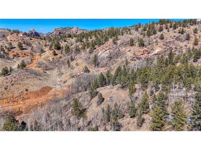 513 Last Dollar Dr, Cripple Creek, CO 80813