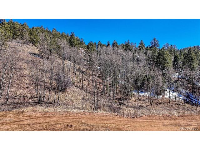 513 Last Dollar Dr, Cripple Creek, CO 80813