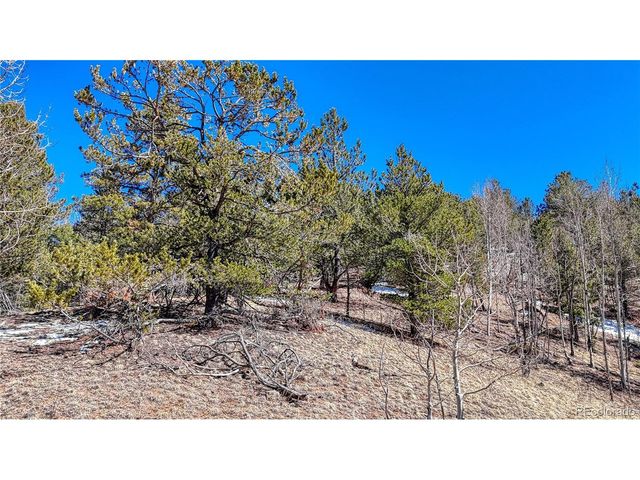 513 Last Dollar Dr, Cripple Creek, CO 80813