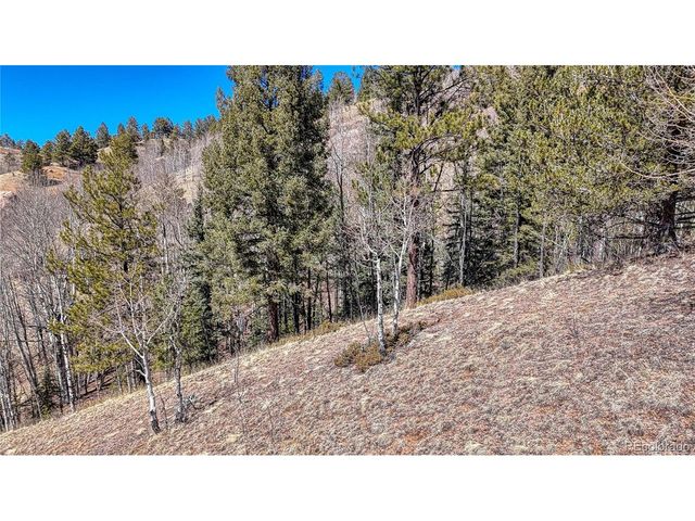 513 Last Dollar Dr, Cripple Creek, CO 80813