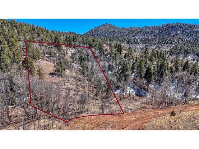 513 Last Dollar Dr, Cripple Creek, CO 80813
