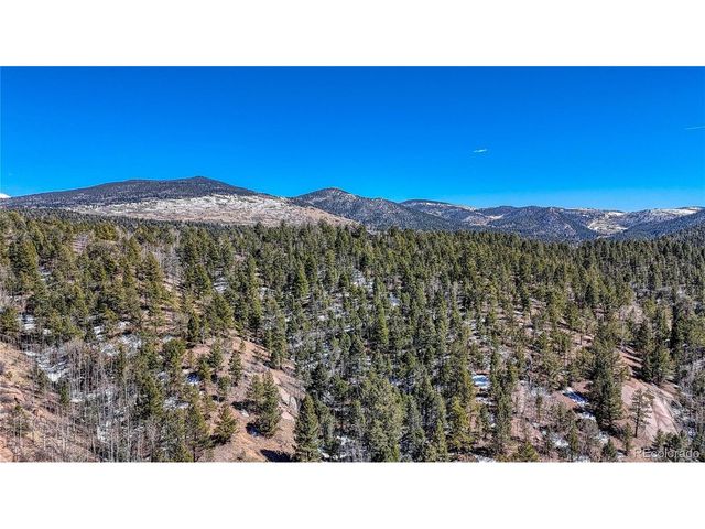 513 Last Dollar Dr, Cripple Creek, CO 80813