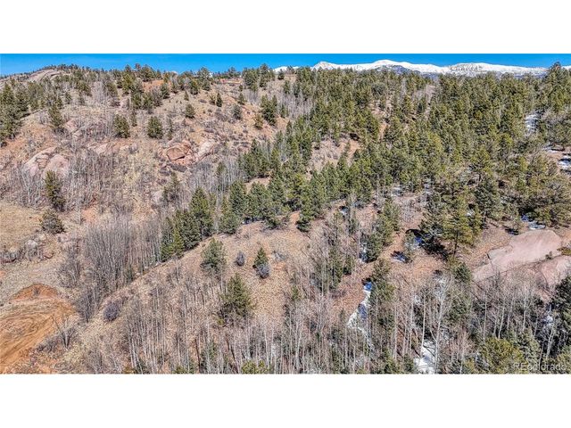 513 Last Dollar Dr, Cripple Creek, CO 80813