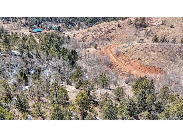 513 Last Dollar Dr, Cripple Creek, CO 80813