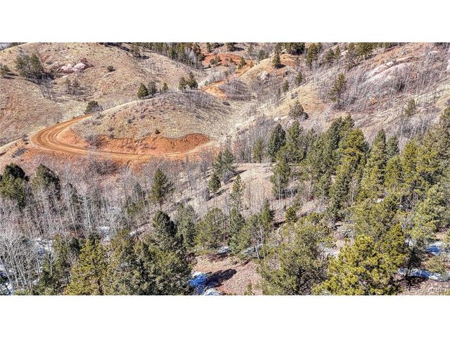 513 Last Dollar Dr, Cripple Creek, CO 80813