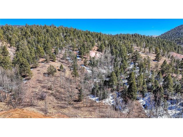 513 Last Dollar Dr, Cripple Creek, CO 80813