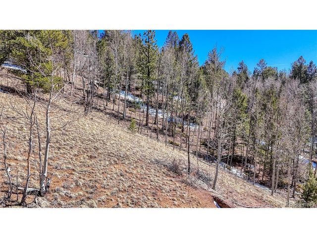 513 Last Dollar Dr, Cripple Creek, CO 80813