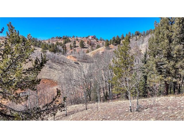 513 Last Dollar Dr, Cripple Creek, CO 80813