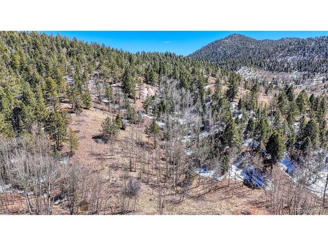 513 Last Dollar Dr, Cripple Creek, CO 80813