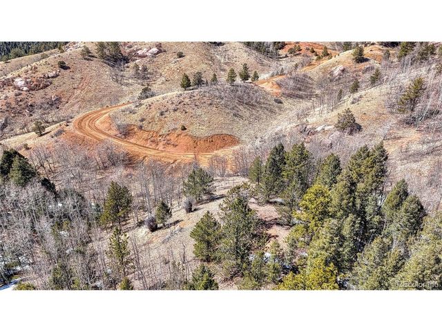 513 Last Dollar Dr, Cripple Creek, CO 80813