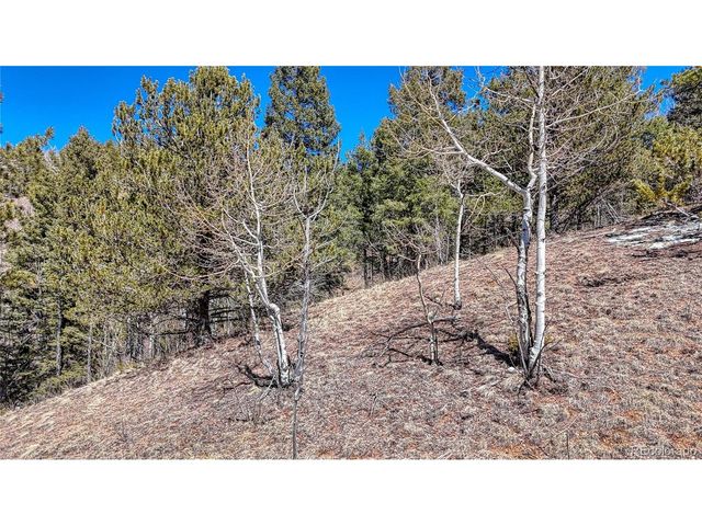 513 Last Dollar Dr, Cripple Creek, CO 80813