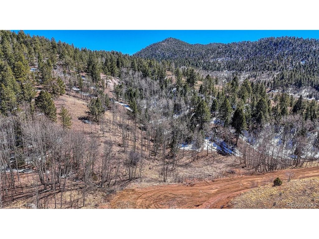 513 Last Dollar Dr, Cripple Creek, CO 80813