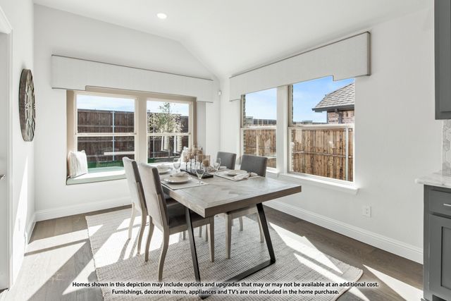 1513 Soapberry Drive, Aubrey, TX 76227